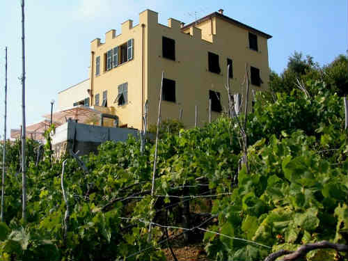 Albergo Luna di Marzo